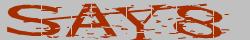 Retype the CAPTCHA code from the image