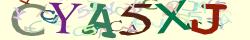 Retype the CAPTCHA code from the image