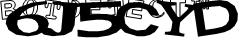 Retype the CAPTCHA code from the image