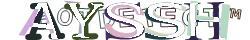 Retype the CAPTCHA code from the image